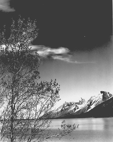 Ansel Adams - Grand Teton